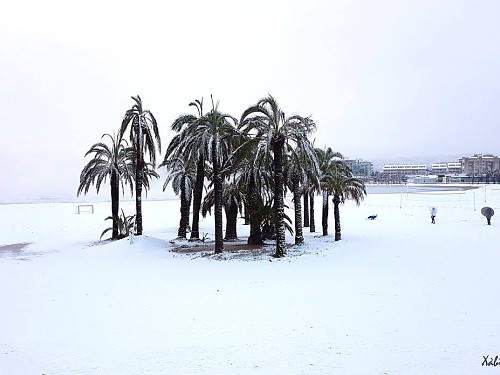 Photos for the indelible memory of the snowfall in Jávea imagen 3