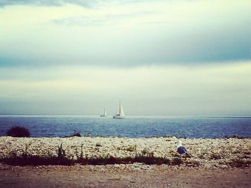 The sea of ​​Jávea in January, a wonder through 8 photos imagen 1