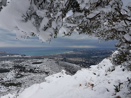 Fotos para el recuerdo imborrable de la nevada en Jávea imagen 9