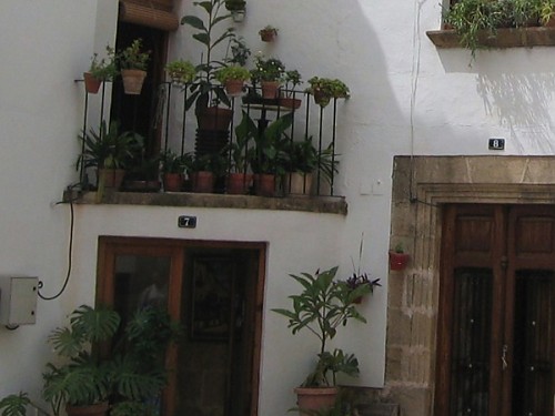 A rustic patio with all the tradition of Jávea imagen 4
