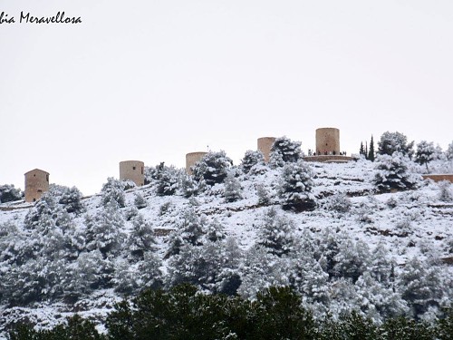 Photos for the indelible memory of the snowfall in Jávea imagen 11