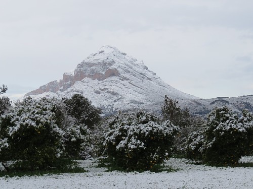Photos for the indelible memory of the snowfall in Jávea imagen 14