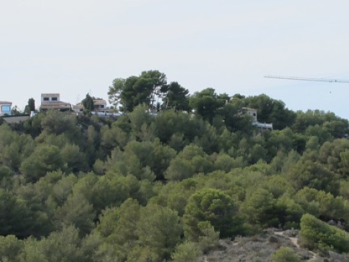 Lugares para vivir en Jávea (2): El Portichol imagen 9