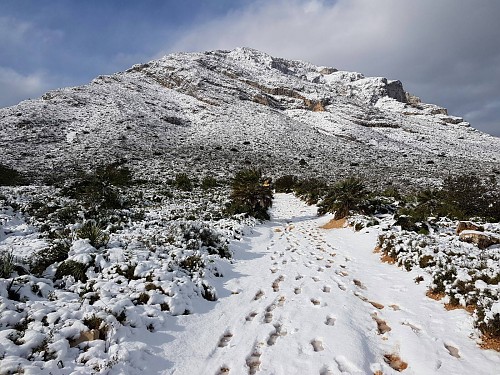 Fotos para el recuerdo imborrable de la nevada en Jávea imagen 18