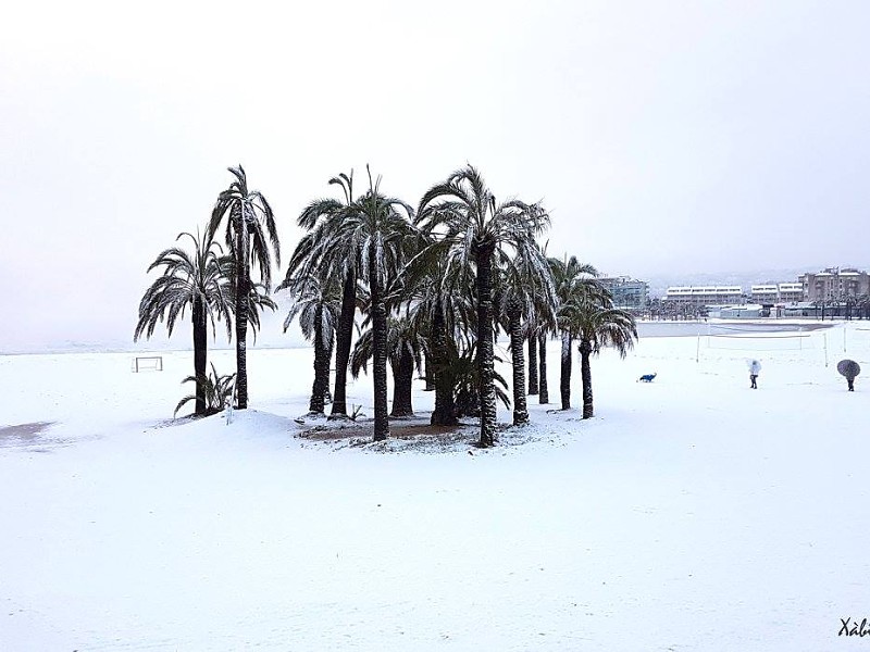 Photos for the indelible memory of the snowfall in Jávea